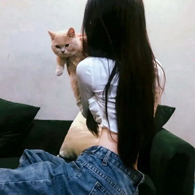契约夫妇